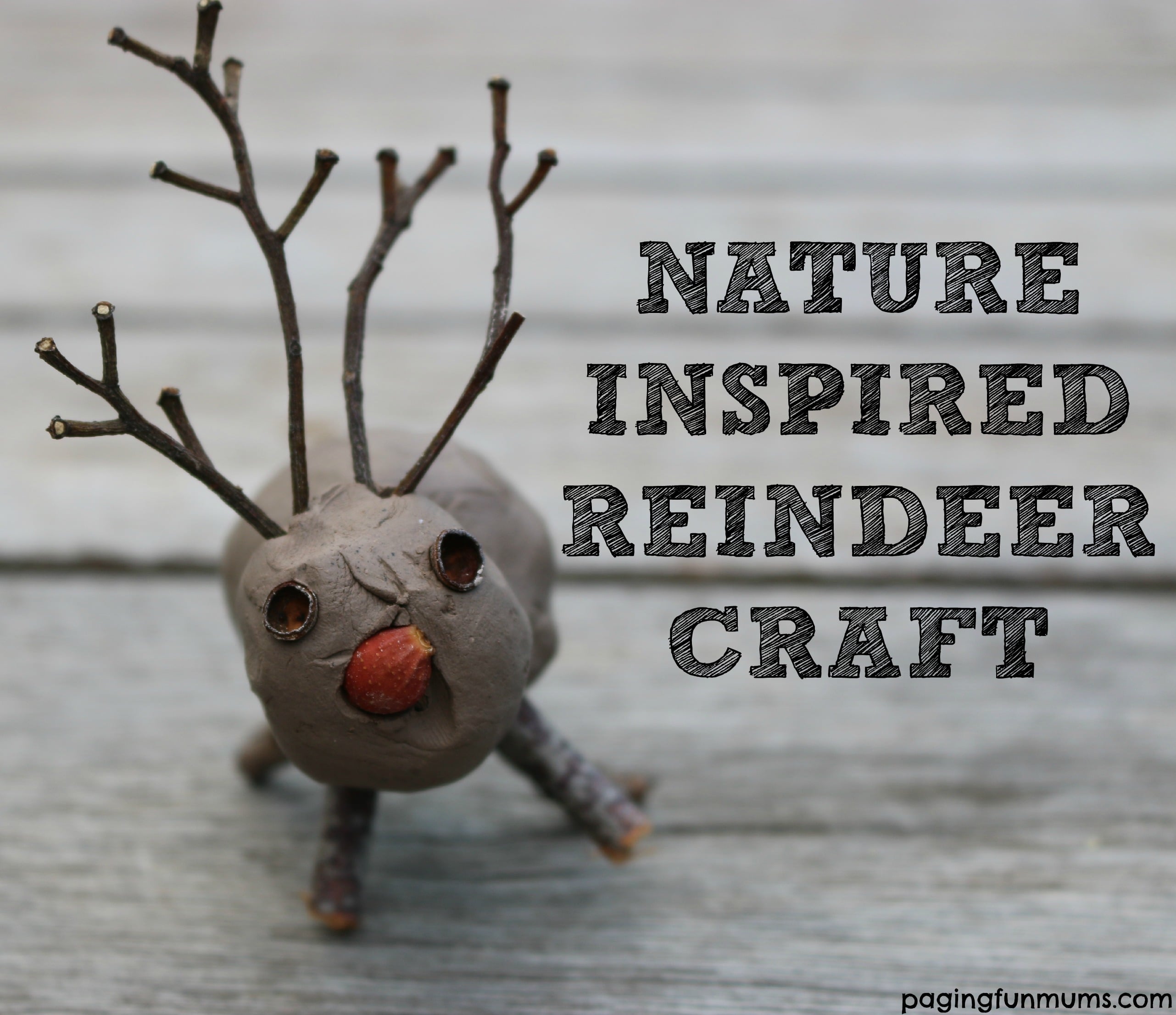 Simple Rudolph Craft