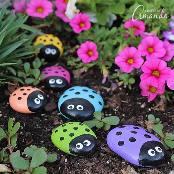 Ladybugs For Your Garden