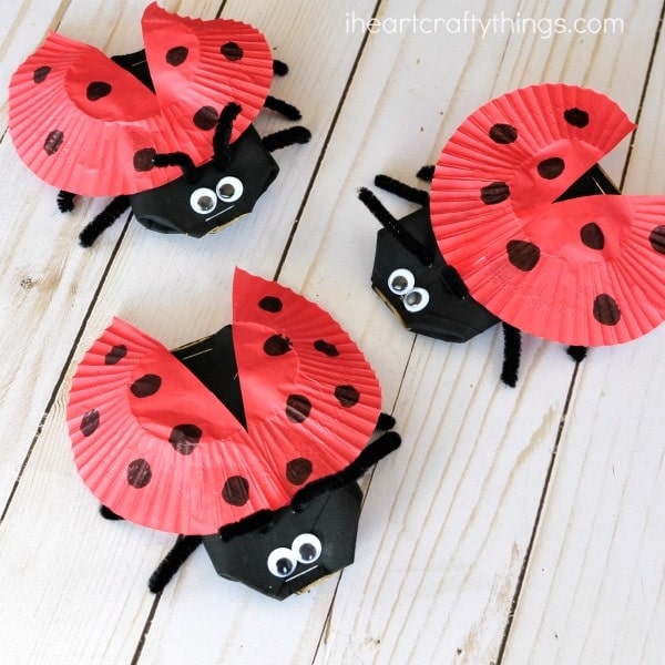 Cupcake Liner Ladybug Craft