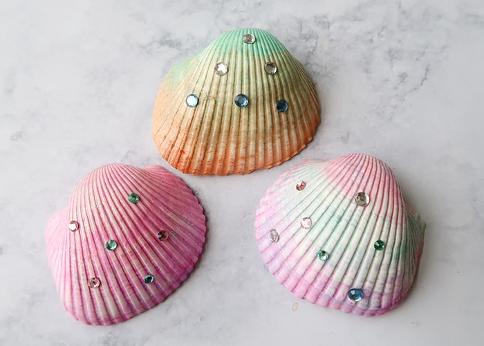 Pastel Seashell Craft