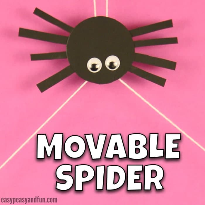 Up-And-Down Spider Craft