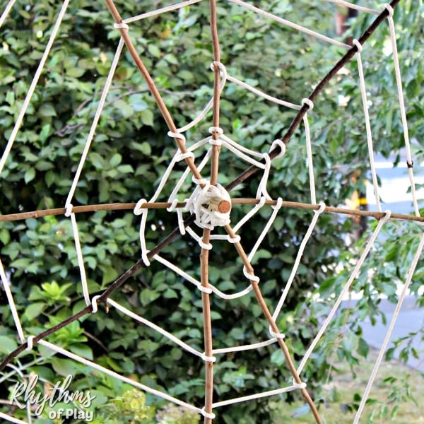 Spider Web Au Naturale