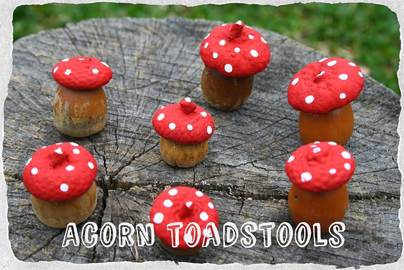 Toadstool Acorn Craft