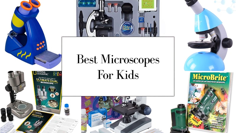 Best Microscopes For Kids