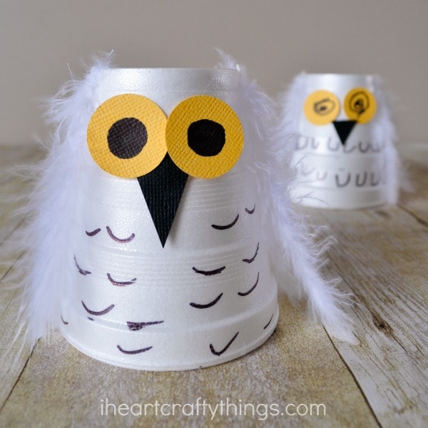 Feathery Owl Craft