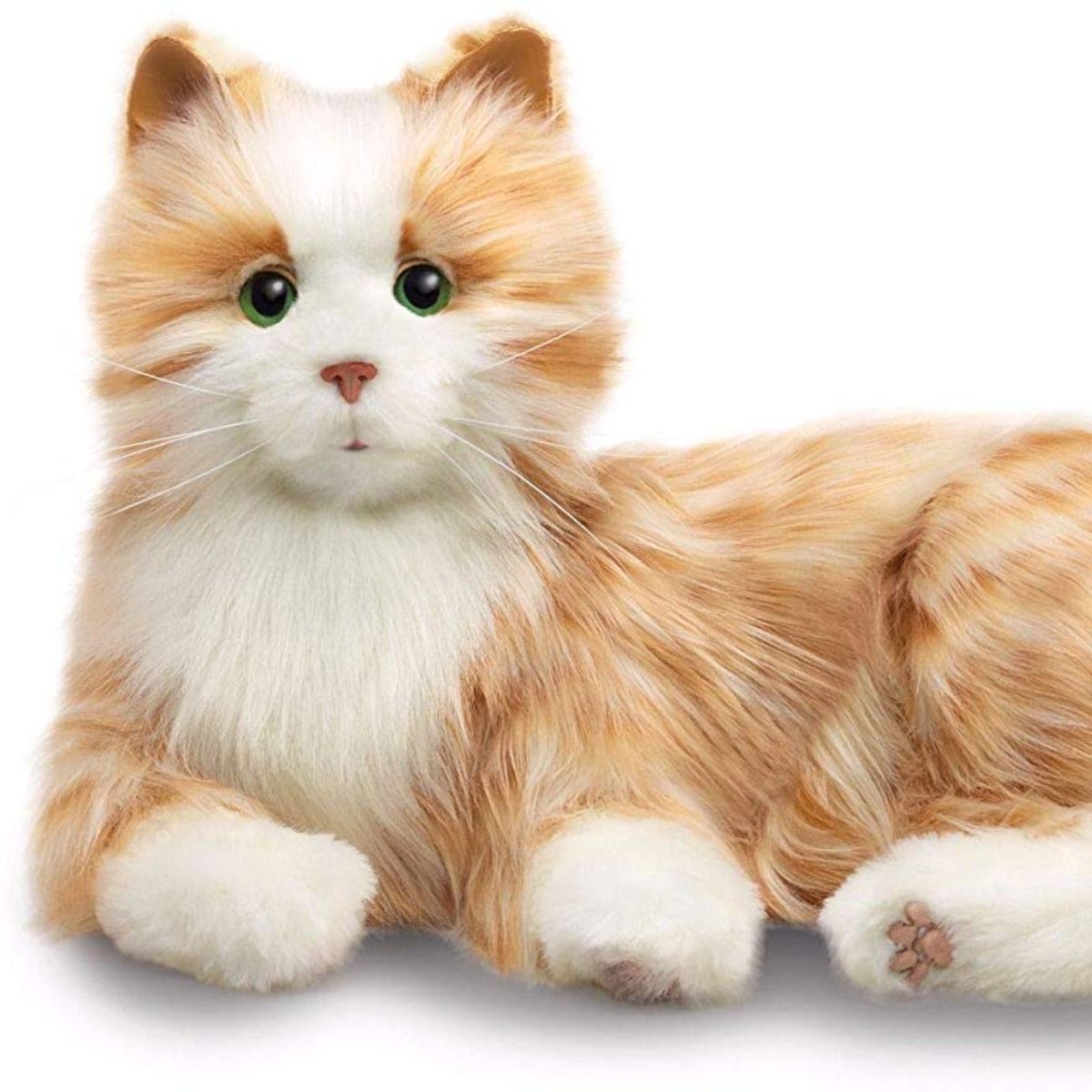 Realistic Orange Tabby Cat 