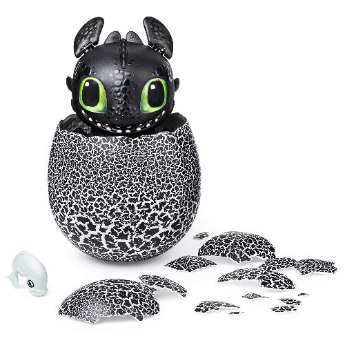 Hatching Toothless Dragon 