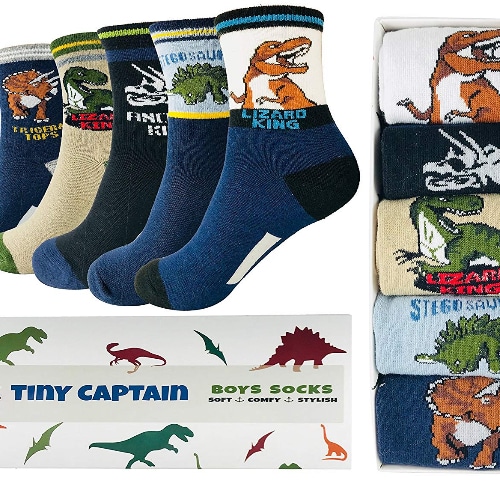 Dinosaur Socks 5-Pack 