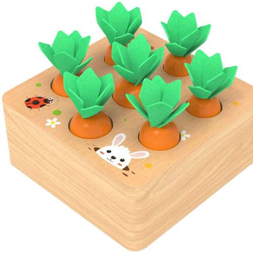 Ancaixin Wooden Puzzle Carrots
