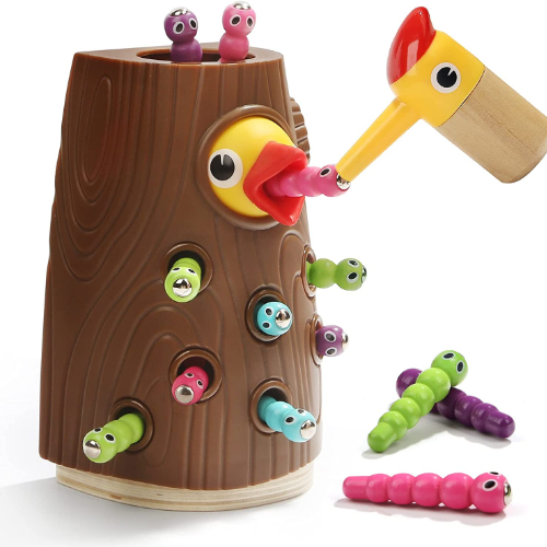 Magnetic Bird And Worms Game