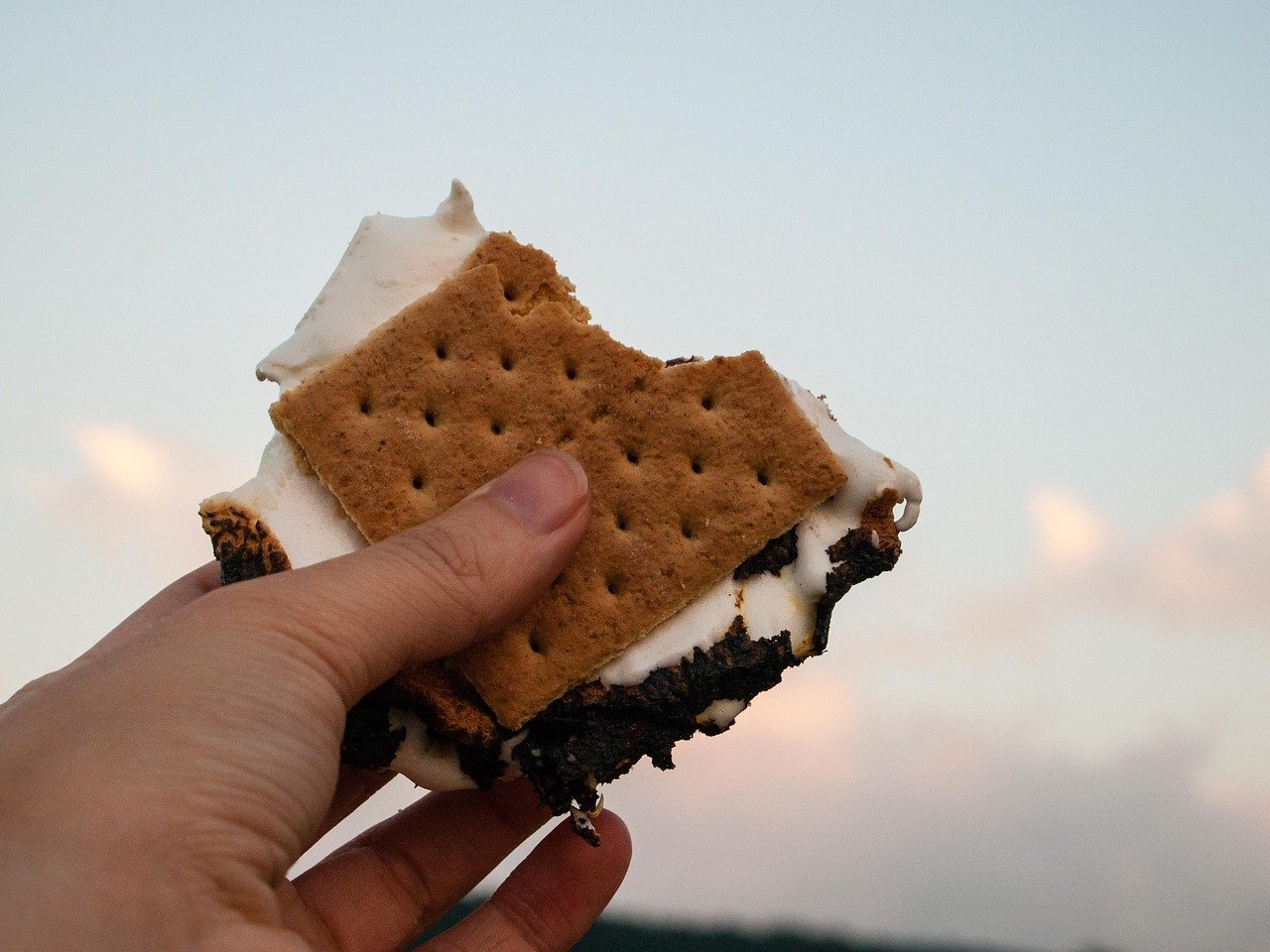 Kids roasting smores