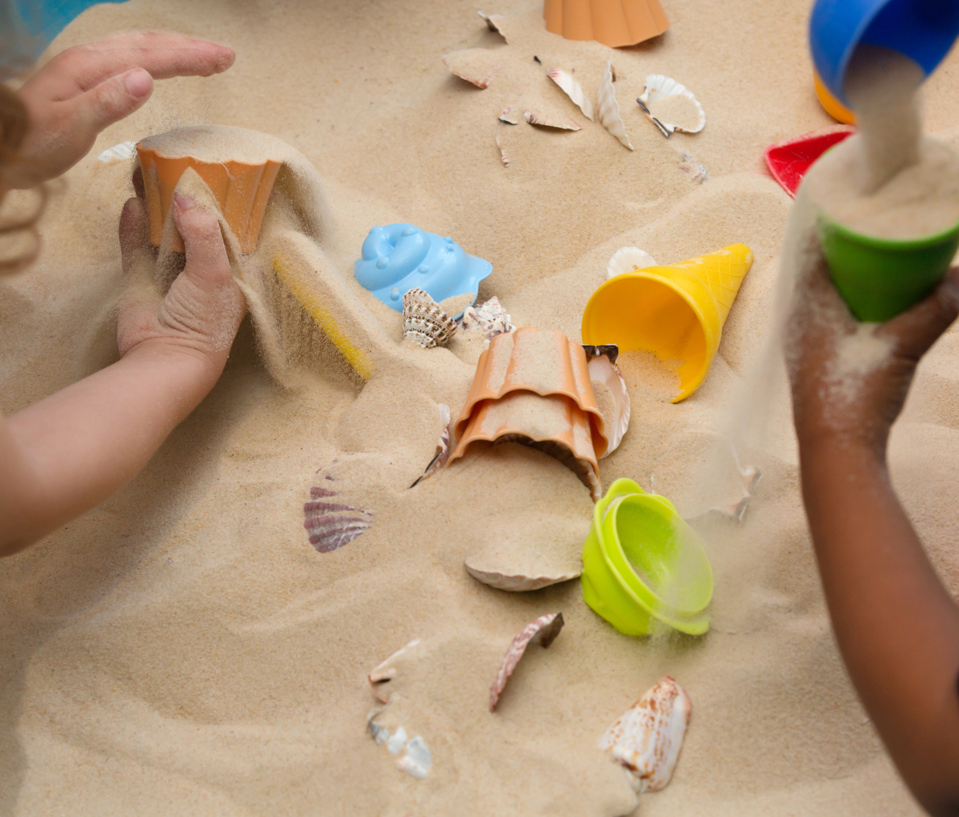 Hunt For Seashells