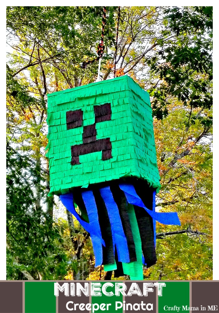 Minecraft Piñata