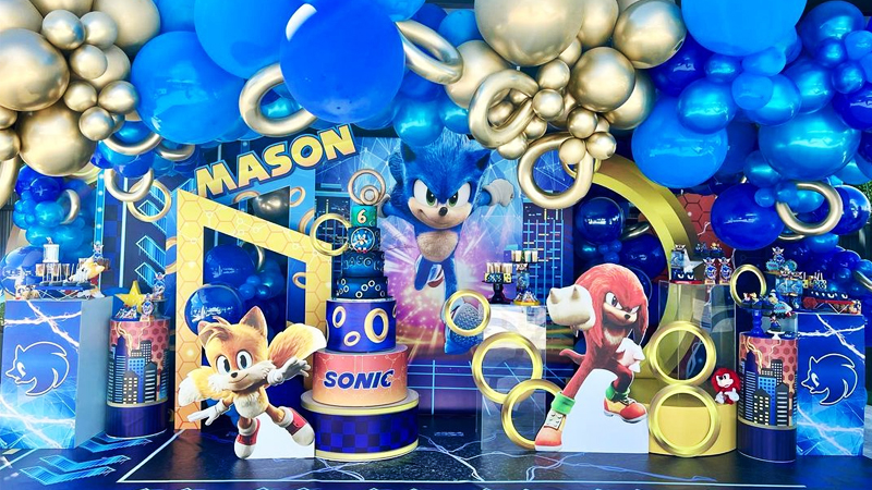 Sonic Classic Characters  Sonic heroes, Sonic birthday parties